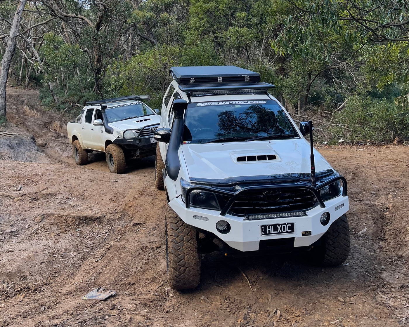 Exploring Anglesea - The Otways: A Guide to 4WD Tracks and Camping Adventures - 4X4OC™ | 4x4 Offroad Centre